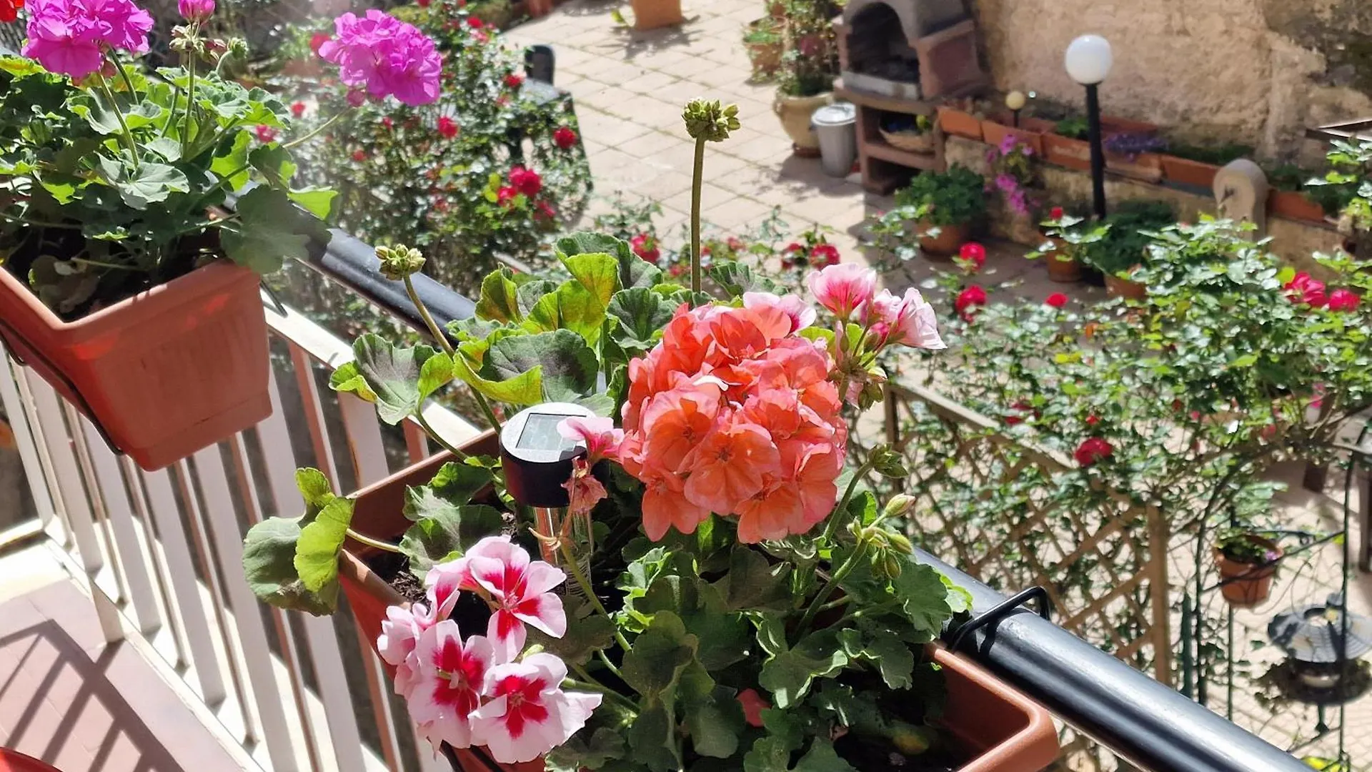 La Perla Bianca Apartment Genoa