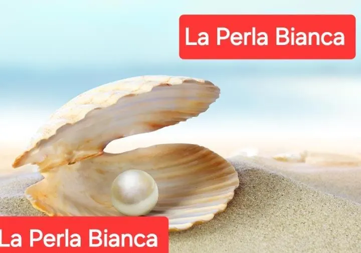La Perla Bianca Apartment Genoa Italy