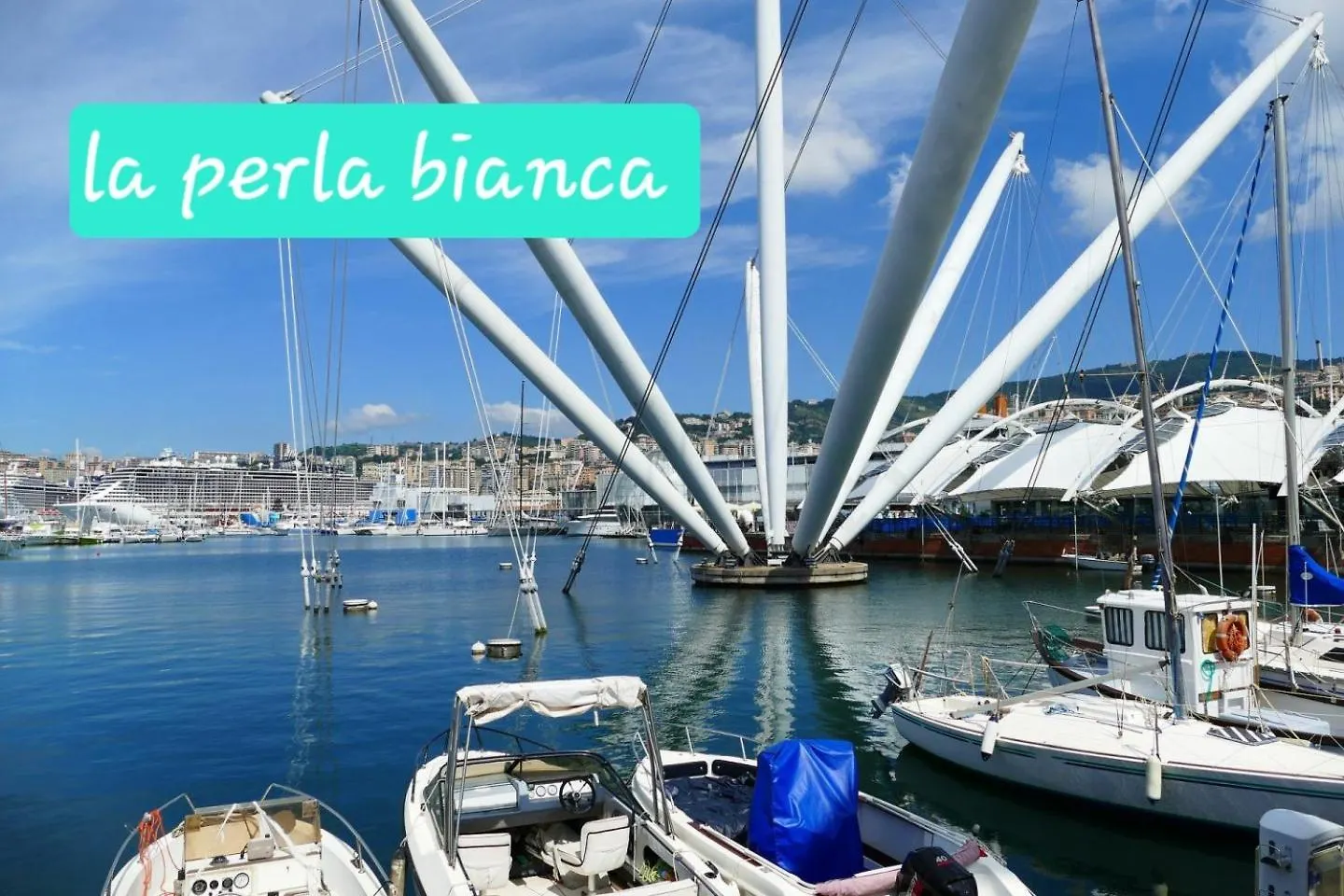 La Perla Bianca Apartment Genoa